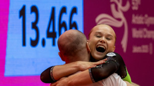 La federaci&oacute;n de gimnasia culpa a Pa&iacute;ses Bajos del rechazo de los visados a gimnastas rusas
