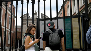 Viaggi studio in tenuta nonostante la crisi internazionale, bene l'Italia