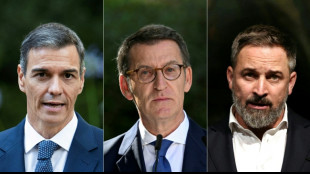 Espagne: Pedro S&aacute;nchez lance sa campagne en promettant de "renforcer" la loi sur le logement