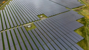 Deutscher CO2-Aussto&szlig; 2025 kaum gesunken -  Verb&auml;nde warnen vor Zielverfehlung