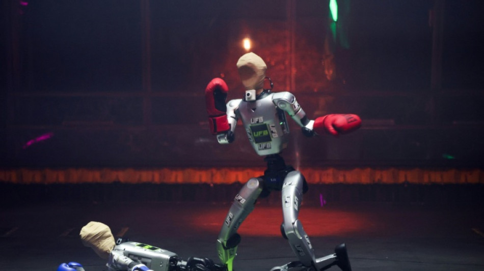 Quand les robots humano&iuml;des r&ecirc;vent de mettre K.O. le MMA