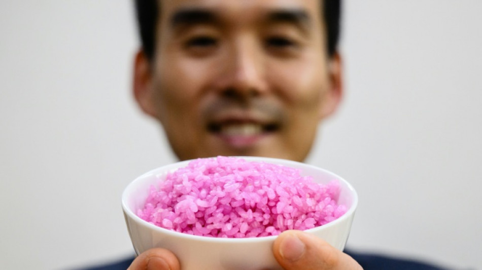 Cient&iacute;ficos surcoreanos crean un "arroz carnoso" con alto contenido de prote&iacute;nas