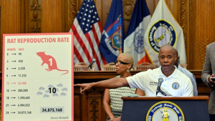 Oh rats! New York seeks 'bloodthirsty' rodent czar