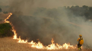 Casi 270.000 evacuados por los incendios que arrasan Espa&ntilde;a y Francia