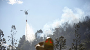 Firefighters battle 'out of control' blaze in Argentina park