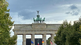 Fermo il Pil della Germania, a zero sul trimestre precedente