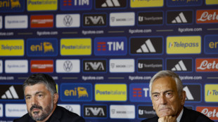 Gravina, l'Italia non &eacute; scarsa come si vuol far credere