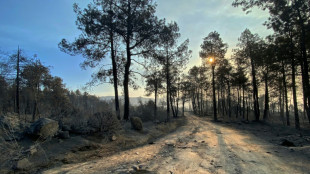 Espa&ntilde;a y Francia enfrentan d&iacute;as clave para frenar los incendios antes de nueva ola de calor
