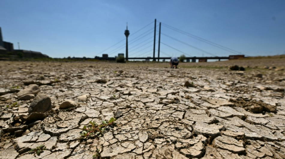 Rhein-Niedrigwasser errreicht in K&ouml;ln neuen Tiefststand