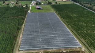 L'agrivoltaïsme, "eldorado" rural ou "bulle" potentielle ?