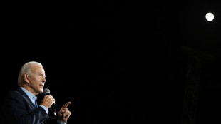 Derniers meetings pour Biden et Trump avant des &eacute;lections l&eacute;gislatives cruciales