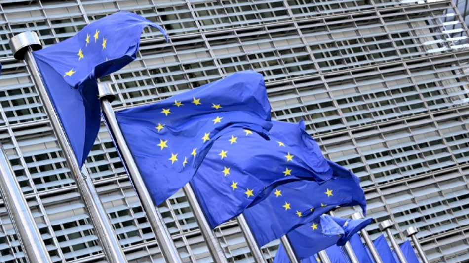 Treffen von europ&auml;ischen Au&szlig;enministern und Chefdiplomaten der Westbalkan-Staaten