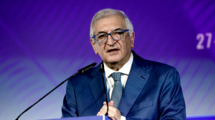 Foti, 'Pnrr lavoro immane, avr&agrave; grosso impatto sui cittadini'