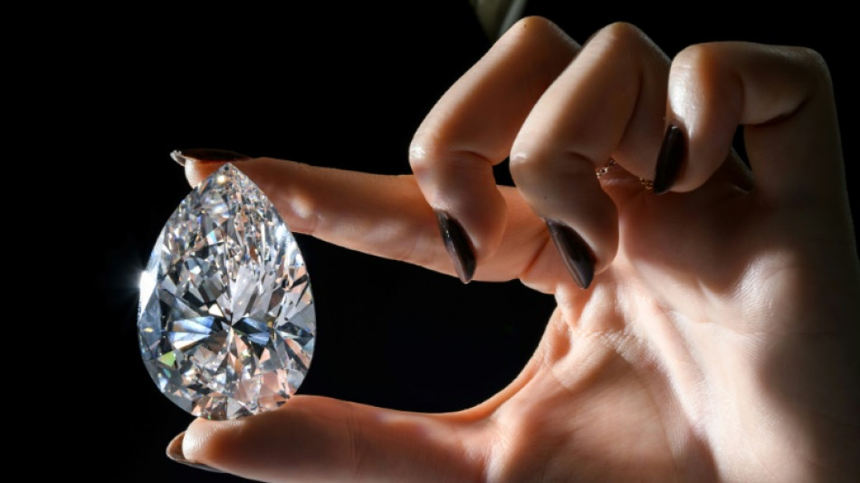 "The Rock", plus gros diamant blanc jamais mis aux ench&egrave;res, pr&ecirc;t &agrave; battre un record