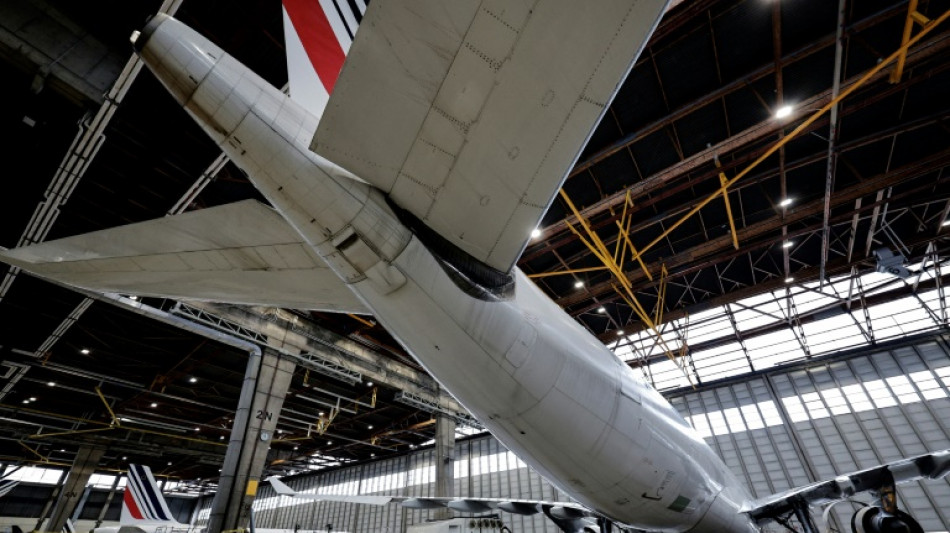 Une arm&eacute;e de m&eacute;canos d'Air France au service de 200 compagnies