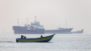 Bloomberg, in stretto di Hormuz traffico navi di nuovo paralizzato