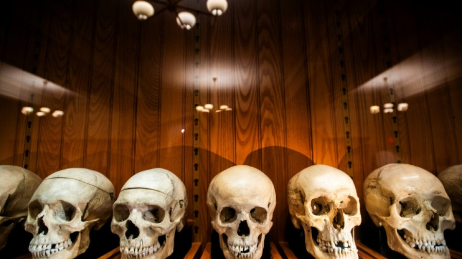 Unnamed skeletons? US museum at center of ethical debate