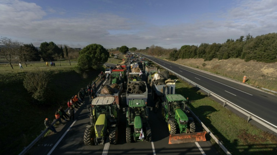 Balkan nations offer lessons on handling cow virus sowing turmoil