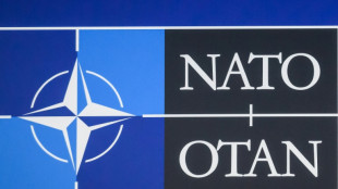 Bundestag entscheidet Freitag &uuml;ber Nato-Aufnahme Finnlands und Schwedens 