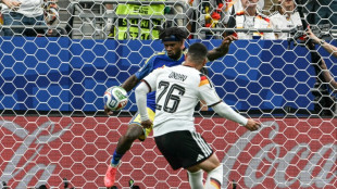 Adidas runs out of letter 'V' as German fans snap up World Cup shirts