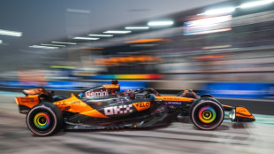 F1: au Qatar, avantage Piastri face &agrave; Norris et Verstappen avant le sprint