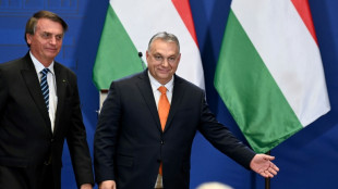 Bolsonaro destaca coincidencias con el ultranacionalista h&uacute;ngaro Orban