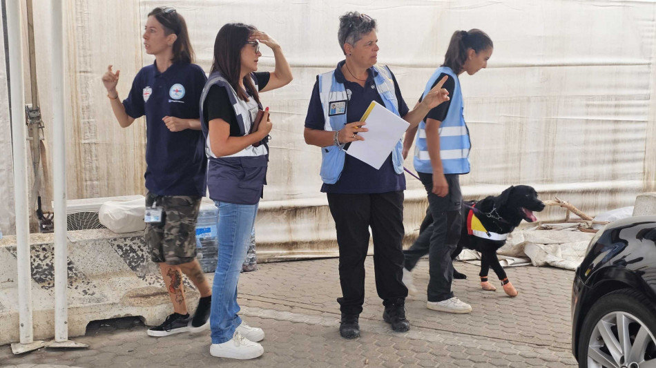 Peste suina, controlli della Asl allo sbarco a Porto Torres