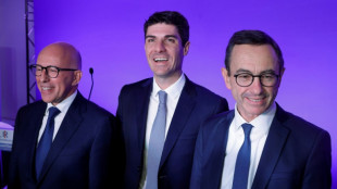 Les R&eacute;publicains choisissent leur nouveau patron