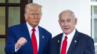 'Trump riceverà Netayahu lunedì prossimo'