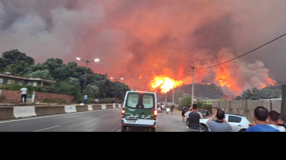 Incendi boschivi in Algeria, almeno 12 morti