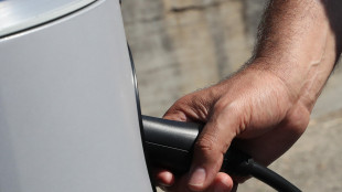 Fonti, nella clausola Ue sull'energia anche auto elettriche e pompe di calore