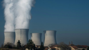 Relance du nucl&eacute;aire: les param&egrave;tres du financement cal&eacute;s "d'ici la fin de l'ann&eacute;e"