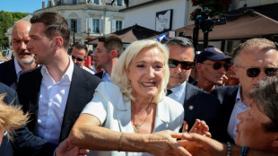 Le Pen lan&ccedil;a campanha presidencial apesar de condena&ccedil;&atilde;o