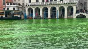 Il Canal Grande di Venezia si colora nuovamente di verde