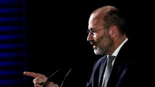 Weber, 'l'Eurocamera sospender&agrave; l'intesa sui dazi con gli Usa'