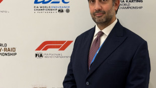 F1: Geronimo La Russa eletto nel consiglio mondiale motorsport della Fia