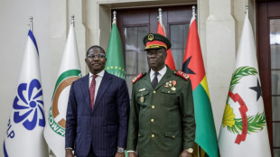 Coup d'Etat en Guin&eacute;e-Bissau: nomination d'un Premier ministre, issu du gouvernement renvers&eacute;