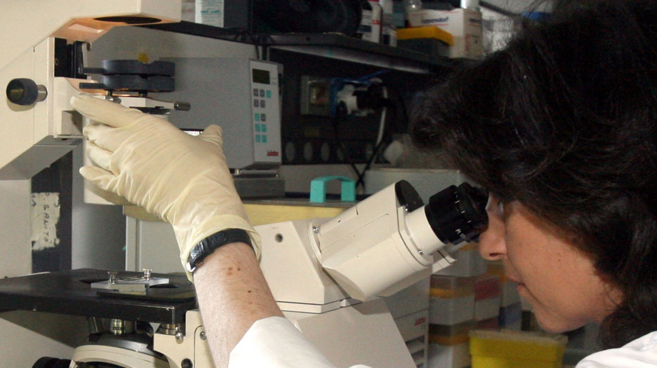 Ecco mappa proteine del sangue per diagnosi precoce di malattie