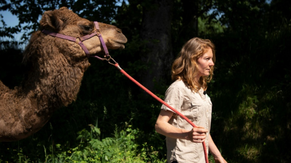 Camille Tessier, tailleuse de pierre devenue &eacute;leveuse de dromadaires