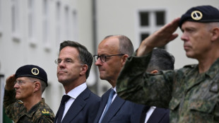 Merz mit Nato-Generalsekret&auml;r Rutte beim deutsch-niederl&auml;ndischen Korps