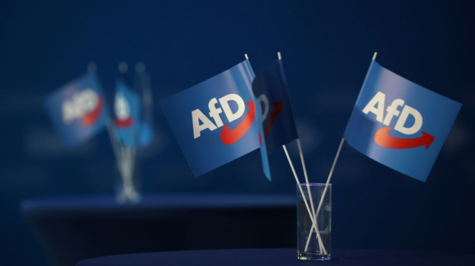Ausschreitungen bei Protesten gegen AfD-Landesparteitag in Offenburg