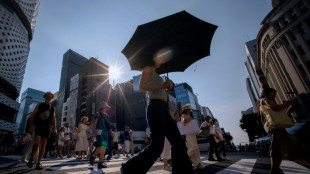 Japan govt sued over 'unconstitutional' climate inaction