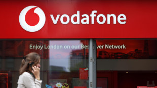 Emirates Telecom vende la quota in Vodafone all'imprenditore francese Xavier Niel