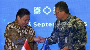 Indonesia, EU sign long-awaited trade deal