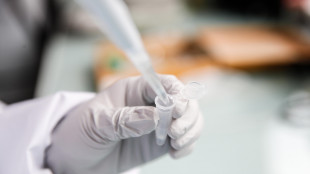 Tumore ovarico, nuovo farmaco per le pazienti non idonee alla chemioterapia