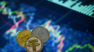 Zone euro : un m&eacute;nage sur dix a investi dans les cryptomonnaies, dit la BCE