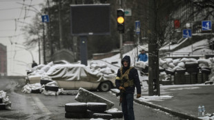 Les "saboteurs", l'ennemi russe infiltr&eacute; qui hante l'Ukraine