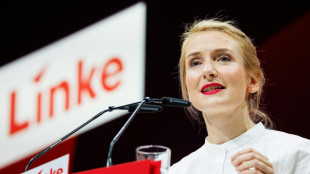 Linken-Chefin: Spitzenduo und Themenwahl sorgen f&uuml;r gute Umfragewerte