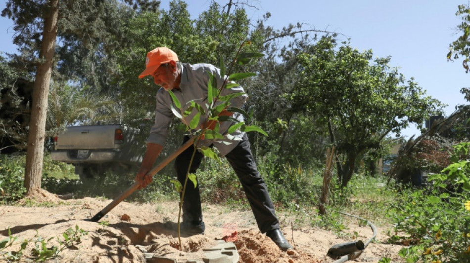 Deforestaci&oacute;n, sequ&iacute;a y urbanizaci&oacute;n destruyen "todo" en el oeste de Libia