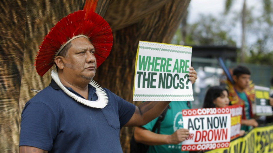 Las ONG denuncian en la COP30 la "ambivalencia" de Brasil y la falta de ambici&oacute;n y recursos
